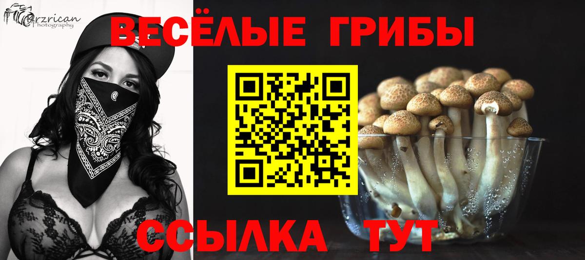 Псилоцибиновые грибы MAGIC MUSHROOMS  Вход с VPN  Сорочинск 
