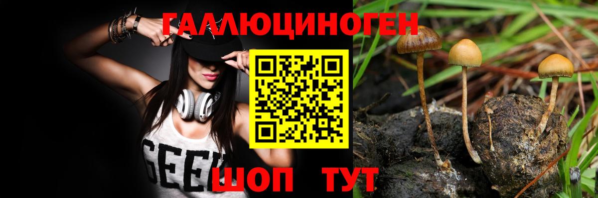Меф МЯУ МЯУ кристаллы  A PVP СК кристаллы  Сорочинск  Меф МЯУ МЯУ  Вход с VPN  Марихуана  Гашиш  Кокаин 